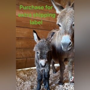 Purchase for Shipping Label